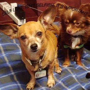 Meet your Posher, Jacqueline